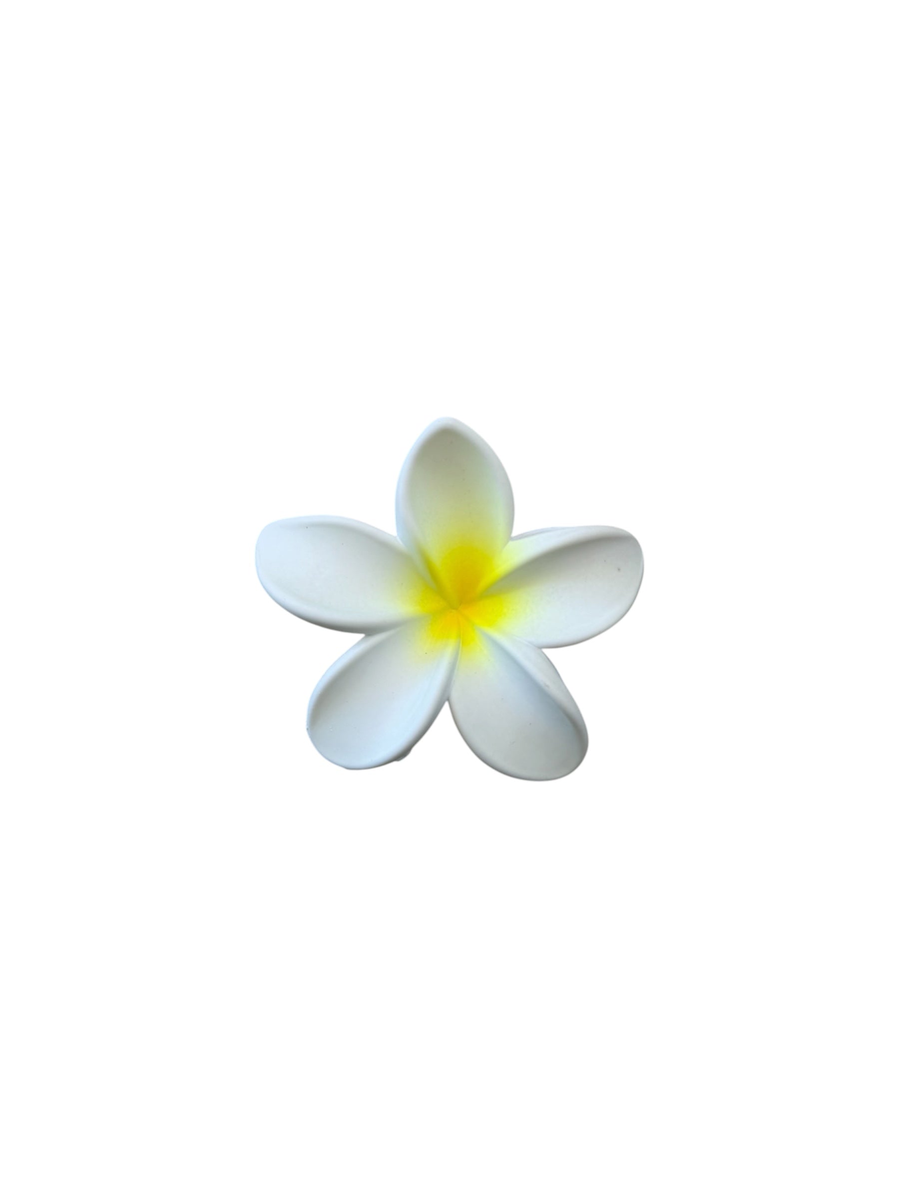 Hair Clip Jasmine