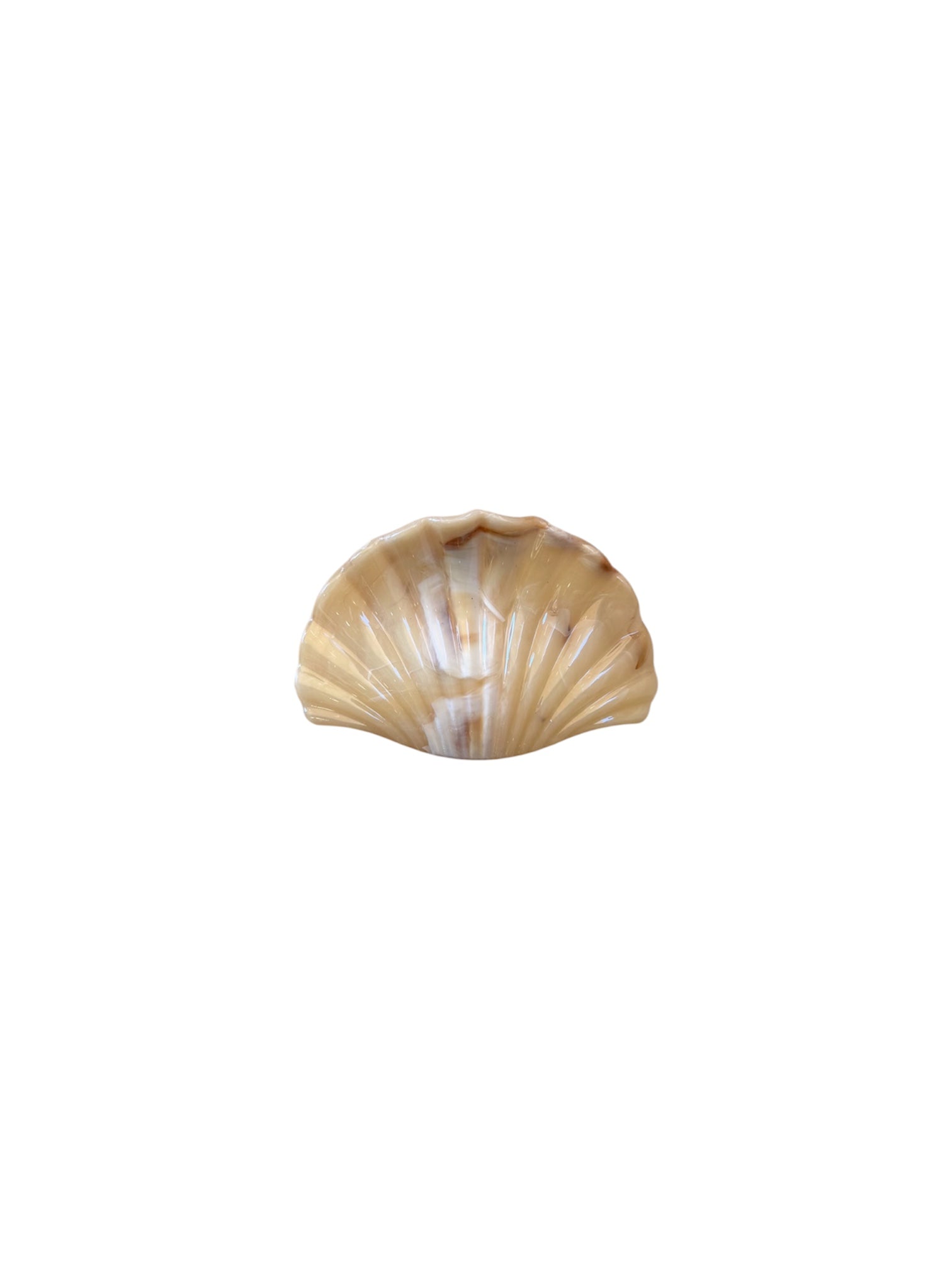 Hair Clip Light Yellow Shell