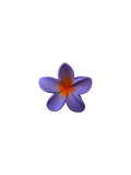 Hair Clip Purple Orange Flower
