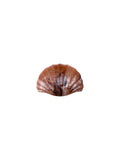 Hair Clip Brown Shell
