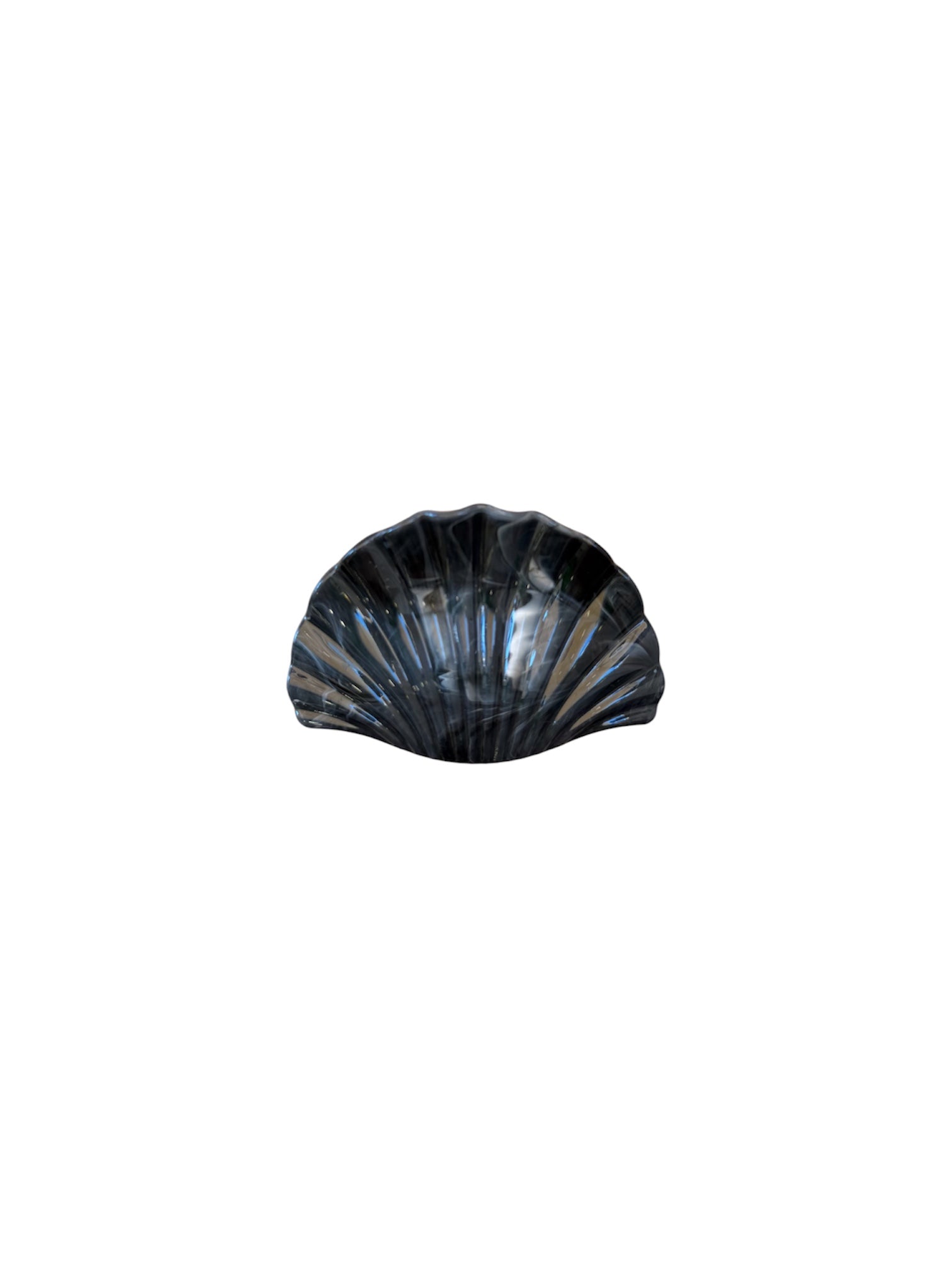 Hair Clip Black Shell