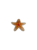 Hair Clip Starfish